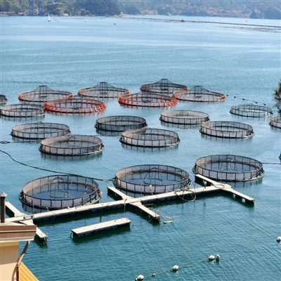 Die Bedeutung von vor Ort Sauerstoffgenerator für Aquakultur und Fischkultur